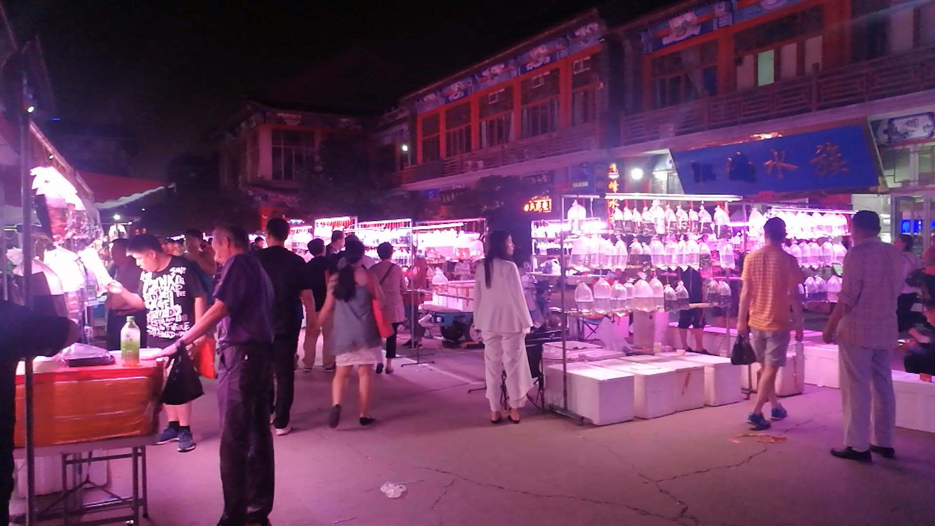 买观赏鱼的地方,逛水族市场买观赏鱼