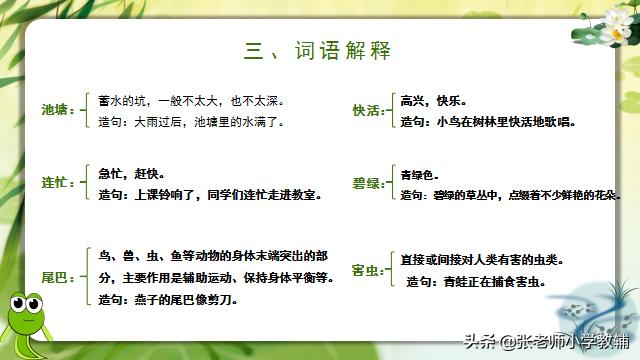 小蝌蚪找妈妈课程分享ppt,小蝌蚪找妈妈ppt教师讲解视频