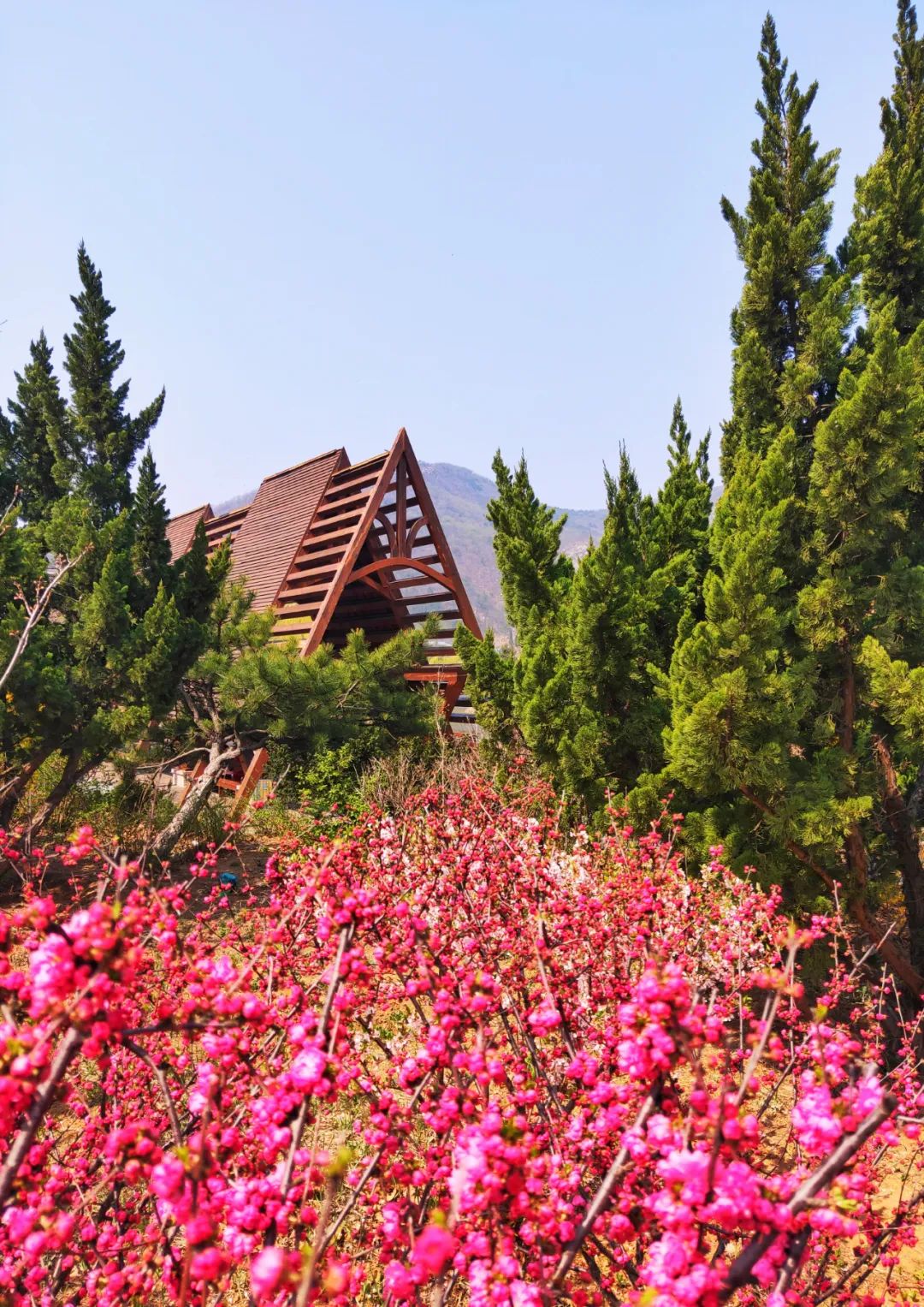 西郊山林休闲养生度假公园,休闲好去处西郊森林公园