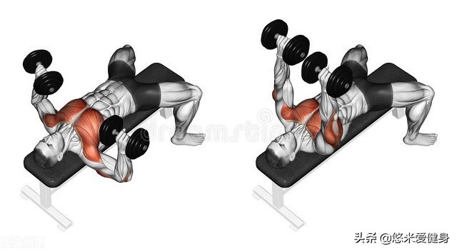 哑铃卧推正确的练法视频,哑铃卧推正确手法视频