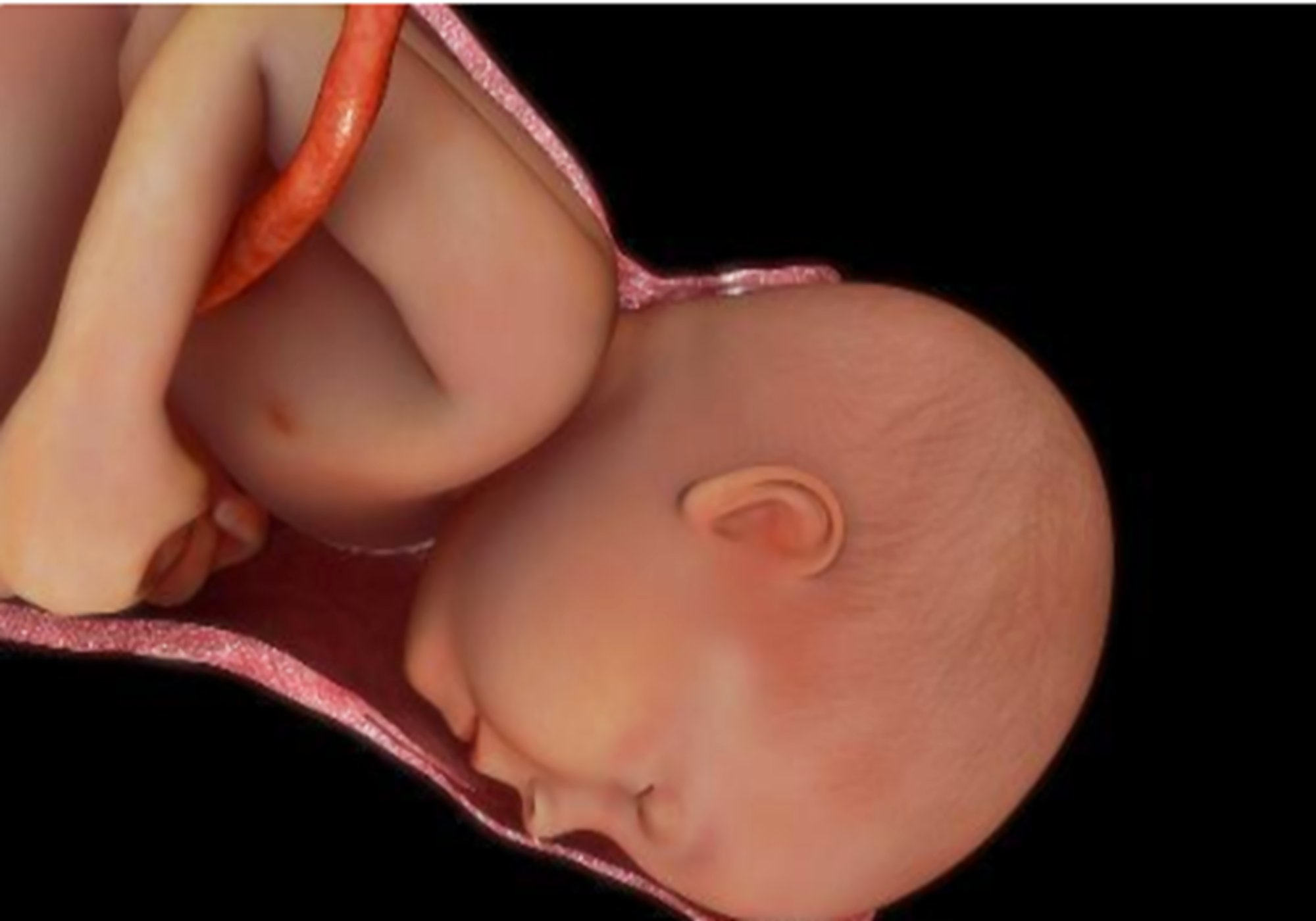 顺产开十指每开一指有多疼,顺产宫口开十指是什么意思