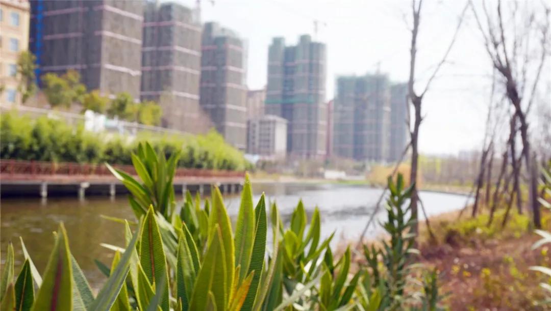 郑州免费游玩公园推荐,郑州新公园开放了吗