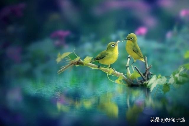 人生感悟英文短句子，句句入骨，看完你会明白很多！