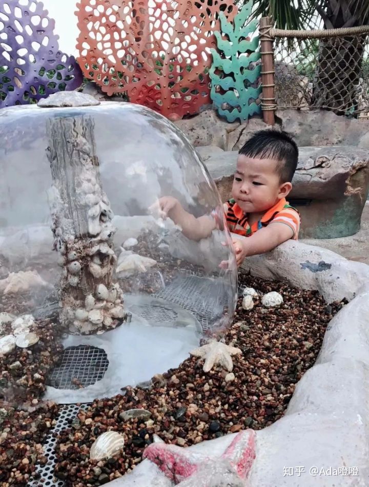 独自带2岁的娃怒刷了10次上海迪士尼，不听我听谁？