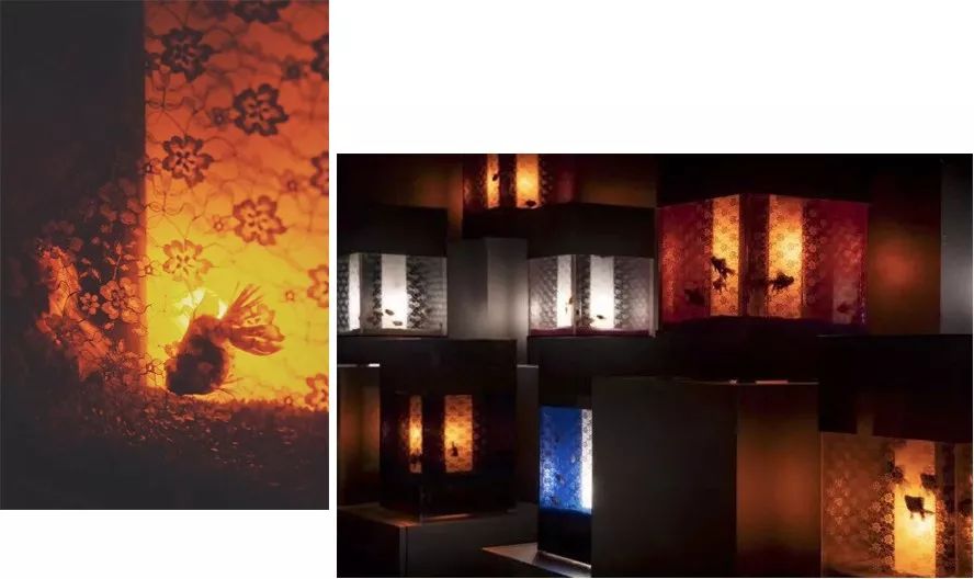 日本网红打卡艺术展,日本十大网红展