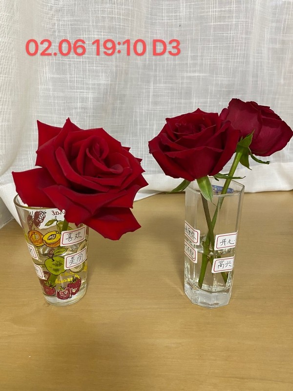 无形决定有形的说法,无形决定有形