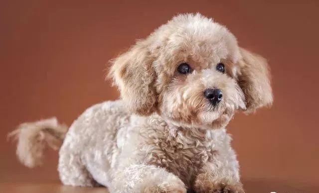 适合穷人的18个赚钱项目,分享几个月入过万的赚钱项目