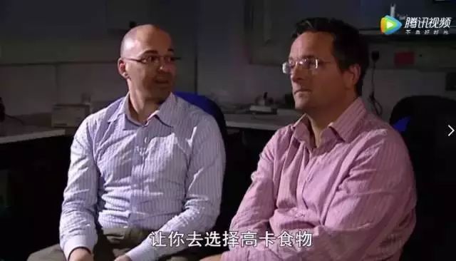 吃早餐真的会让人变胖嘛,bbc科学实验