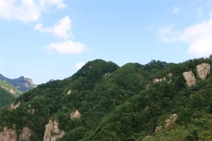 南阳市高性价比的景区,南阳农家乐旅游景点