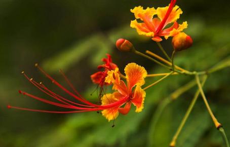 灵性觉醒可怕吗,灵性觉醒睡不着