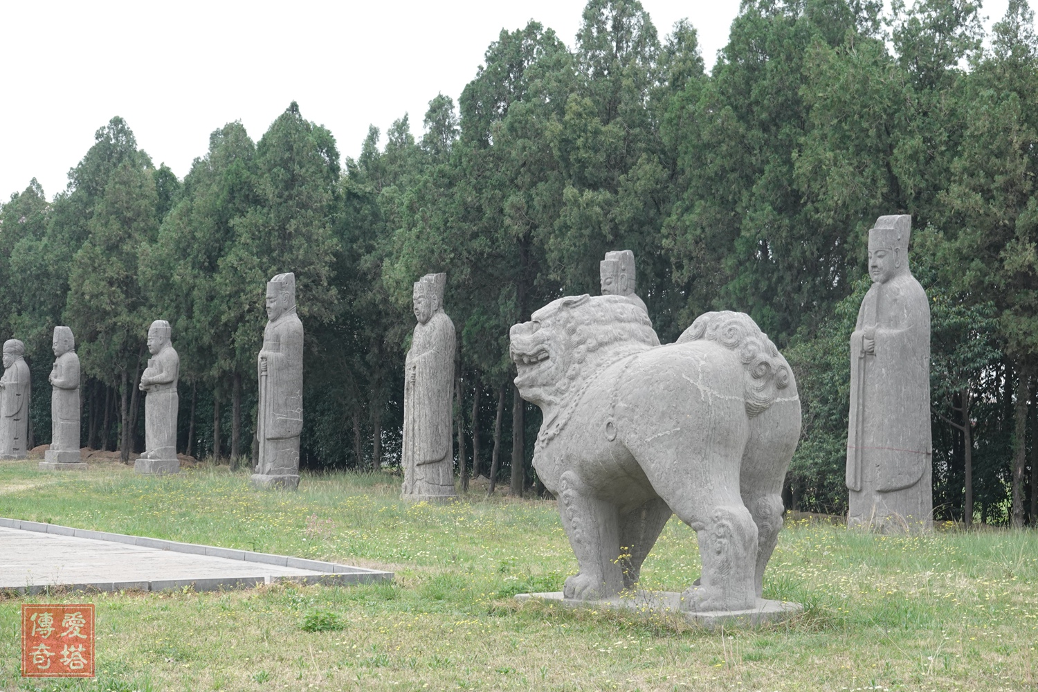 2020年经典电视剧有哪些,2020年将要播出的电视剧有哪些