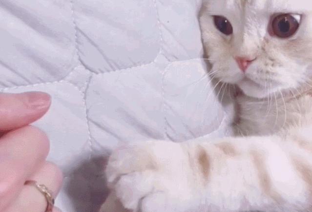 疫情中的替代性创伤,疫情替代性创伤