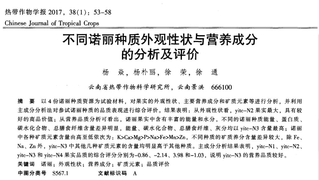新鲜的诺丽果吃有什么好处,诺丽果是怎么样的水果