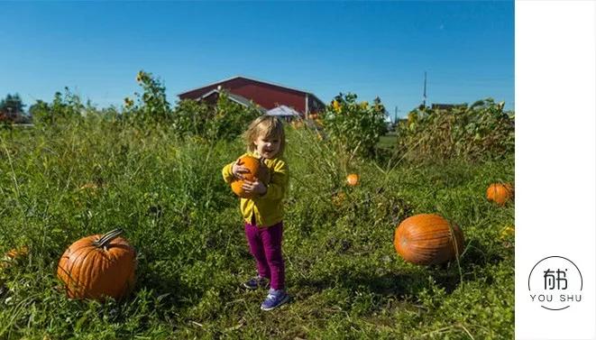 两周岁多的孩子不肯吃饭就喝奶粉,两周岁的孩子不愿意吃饭怎么办