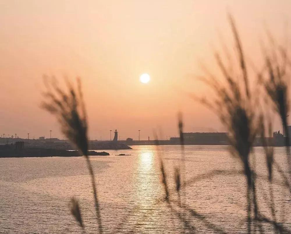 九九重阳节又见重阳,九九重阳节新的一天开始