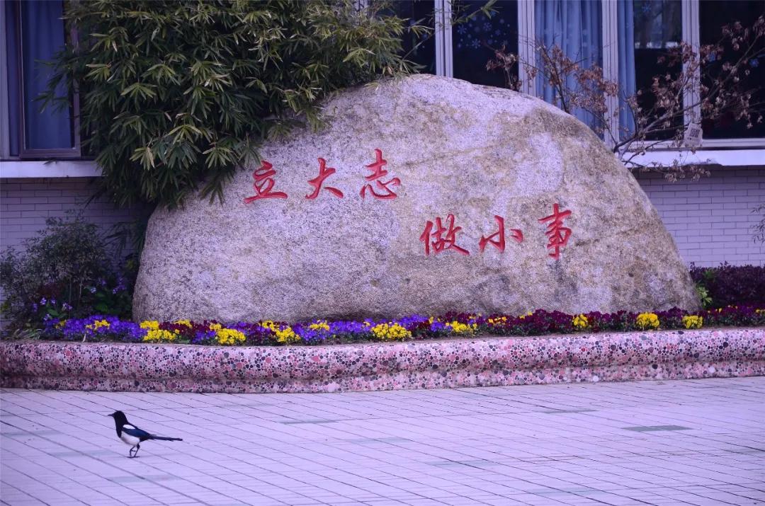 南京比较好的小学学校排名,南京名校小学最新排名