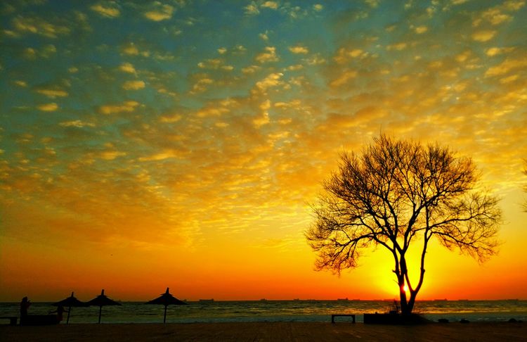 早晨和黄昏时段，手机摄影佳作赏析