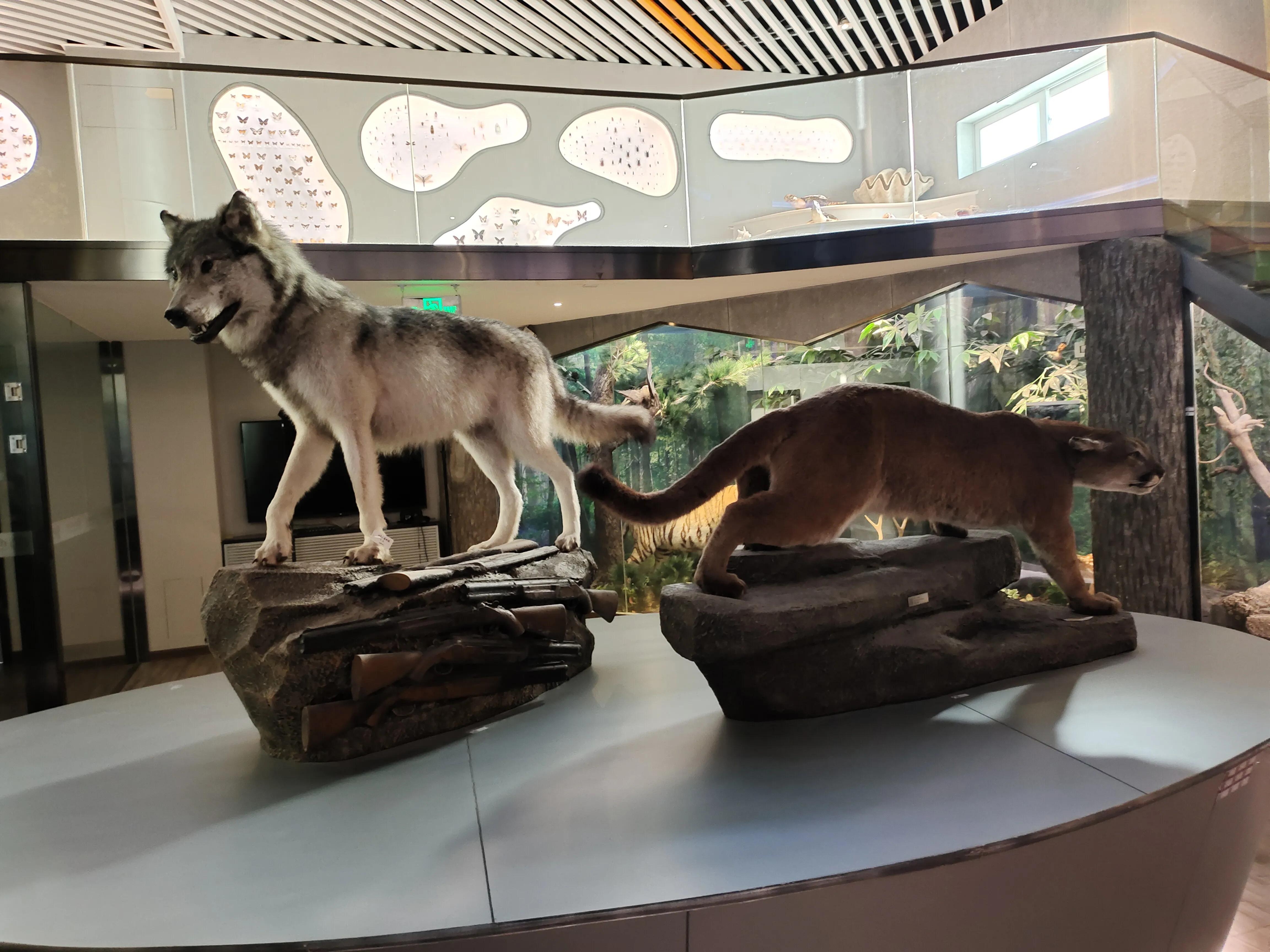 清华附中永丰学校怎么样,清华附中怎么样呢