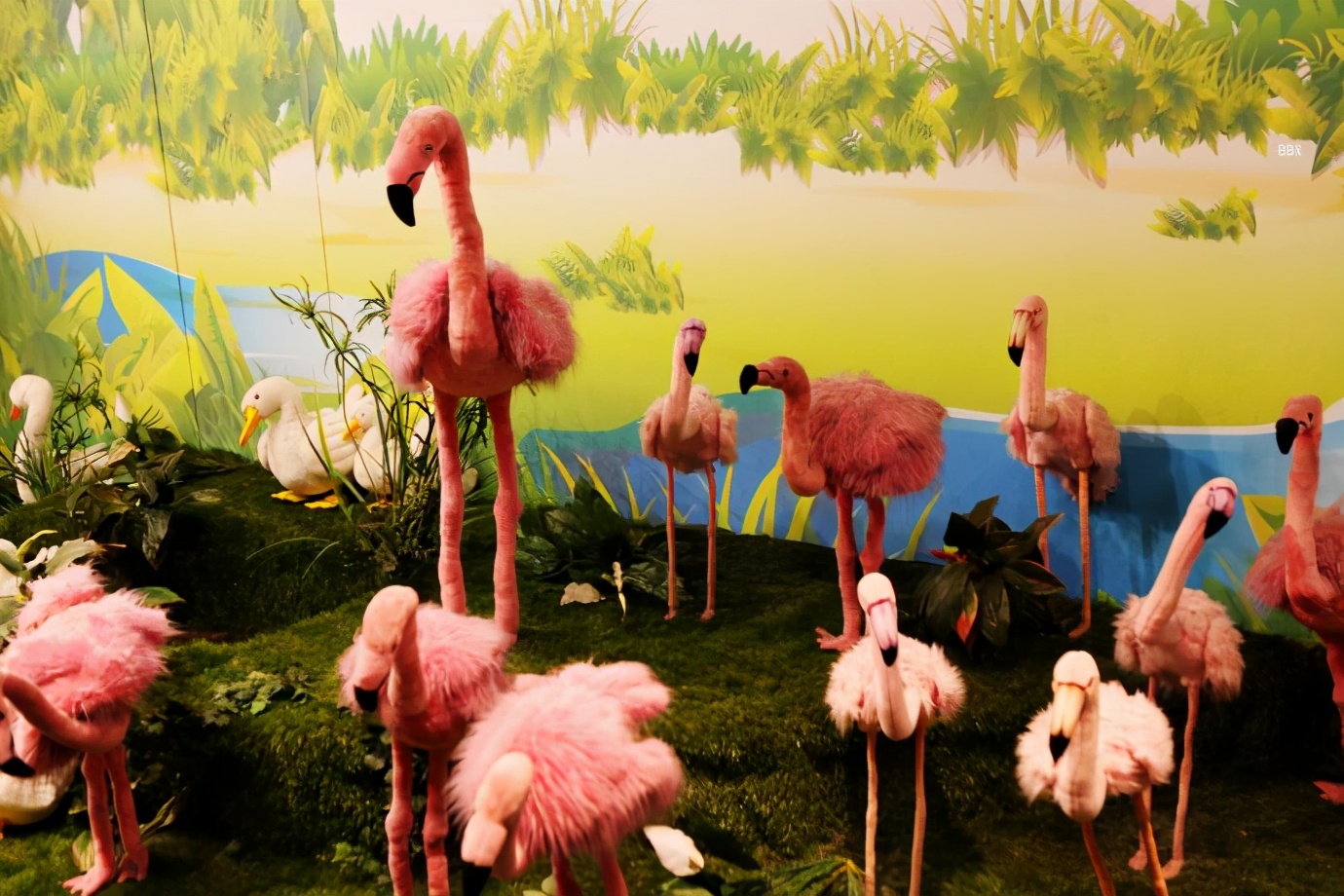 济州岛泰迪熊博物馆,济州岛泰迪熊博物馆圣诞节