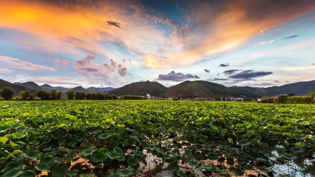 这是一个生机勃勃的地方关于它的故事才刚刚开始