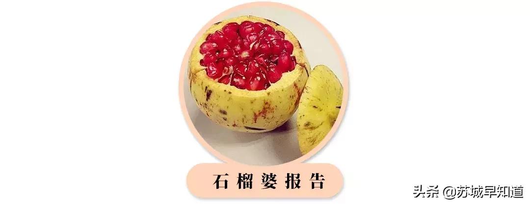 SW不到一千块入手？石榴婆苏州奕欧来行大揭秘