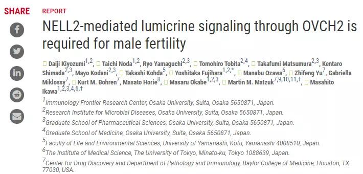 科研新突破拯救精子质量,精子最前沿研究