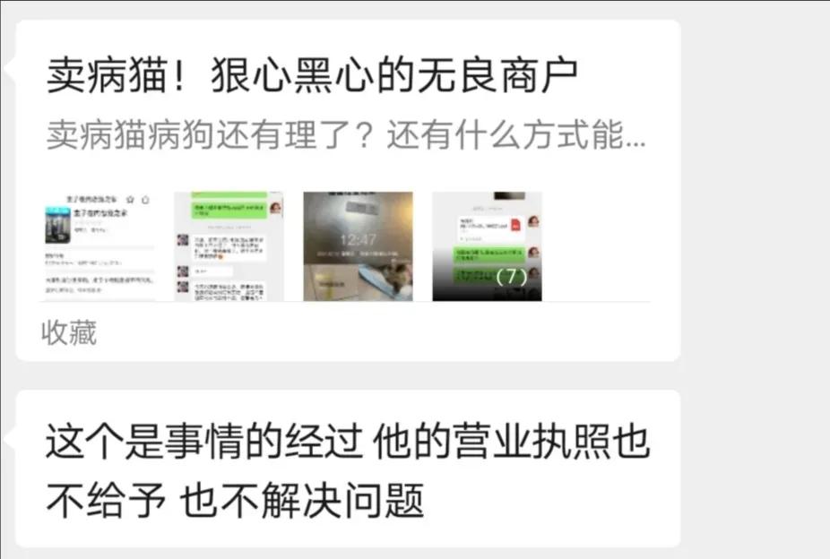 娼囨箻鏅ㄦ姤315,315璋冩煡娼囨箻鏅ㄦ姤