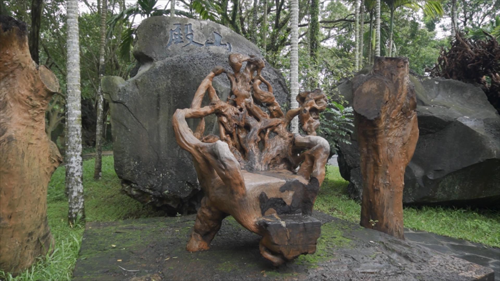 逐梦自贸海动椰城,逐梦海口嗨动椰城