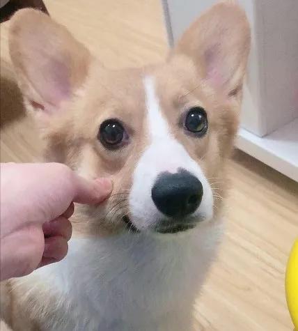 独立买房后嫁不出去了,独立买房不结婚