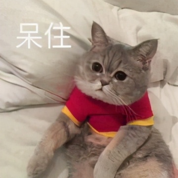 研制出新冠疫苗的辉瑞公司，竟无意中发明了“伟哥”