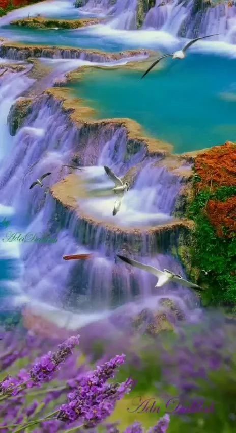 世界是你的也是我的但终归是你的,世界是你的也是我们的