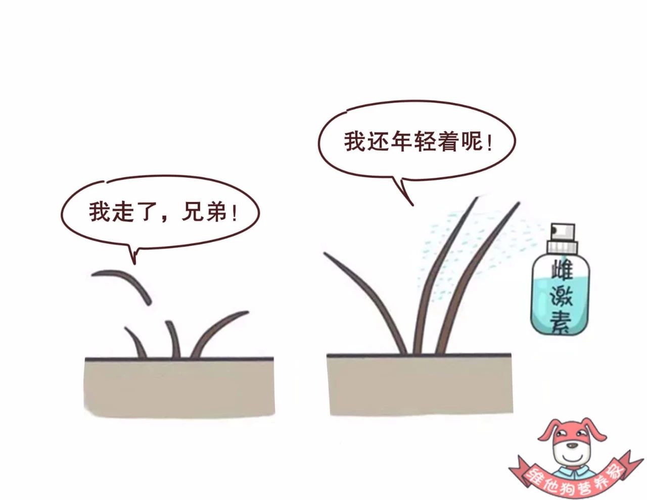 史上最强防脱发指南,脱发严重这个防脱发妙招很好用