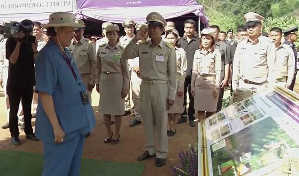 公主和国王简朴又亲民,公主像卖菜大婶,国王像民工大叔