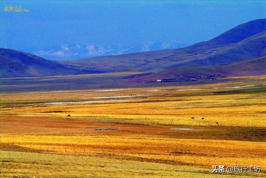 西藏昌都最好玩的是哪个景点,昌都必去十大景点排名