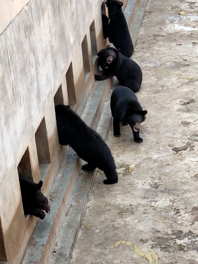 针对学生上课玩手机现象解决方案,学生上课玩手机怎么办教你一招