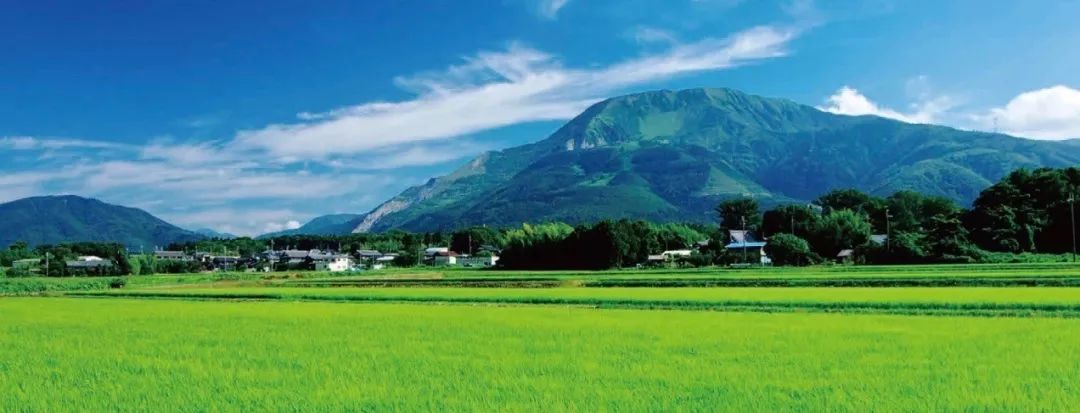 【行乐47】凭什么，它能是日本人的生命之湖？