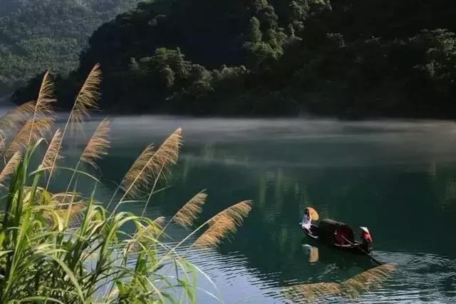 百川论道｜晋惠帝