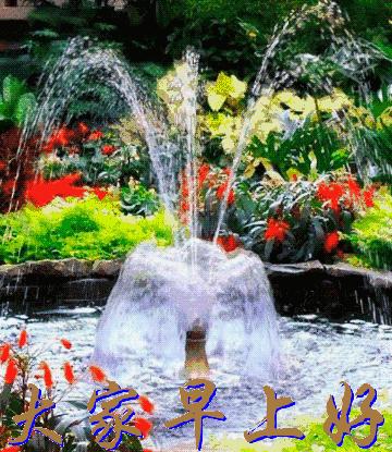 祝愿您新的一天心情愉快,愿清晨的问候带给您愉快的一天