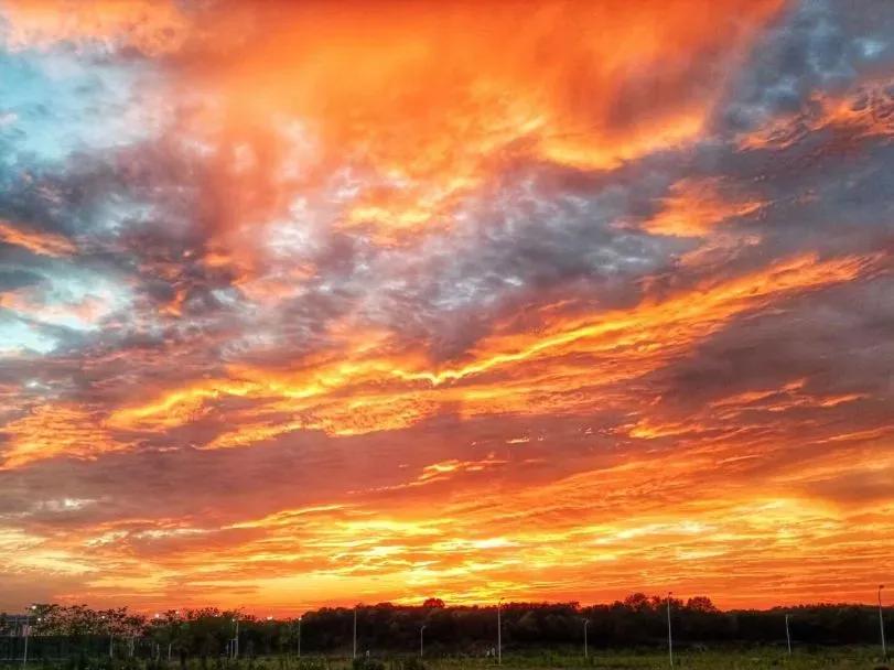 安徽省合肥师范学院2024招生简章,安徽省合肥师范学院今年投档线