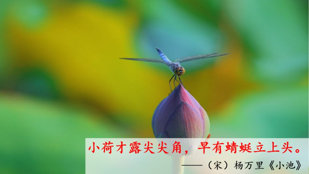 一年级语文下册春夏秋冬生字笔画,部编版一年级上册课文朗读完整版