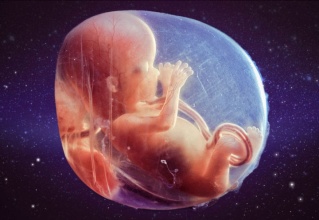 胎儿在孕妇肚子里面拉屎怎么办,胎儿在孕妈肚子里排便尿尿吗