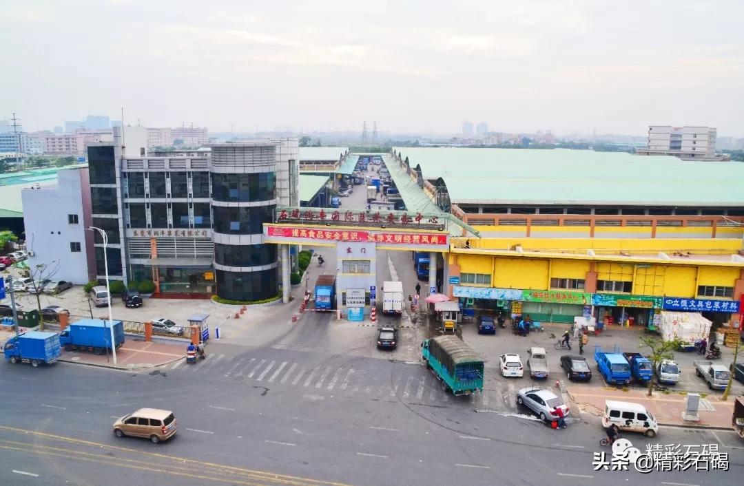 同比上升50%！润丰集团确保供港蔬菜供应，助力全国抗疫！