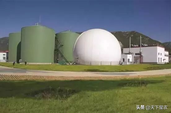 山东德青源鸡蛋基地,德青源农业扶贫