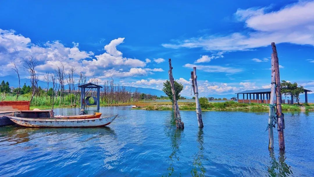 12月想要什么,12月的冬日暖阳岁月如此静好