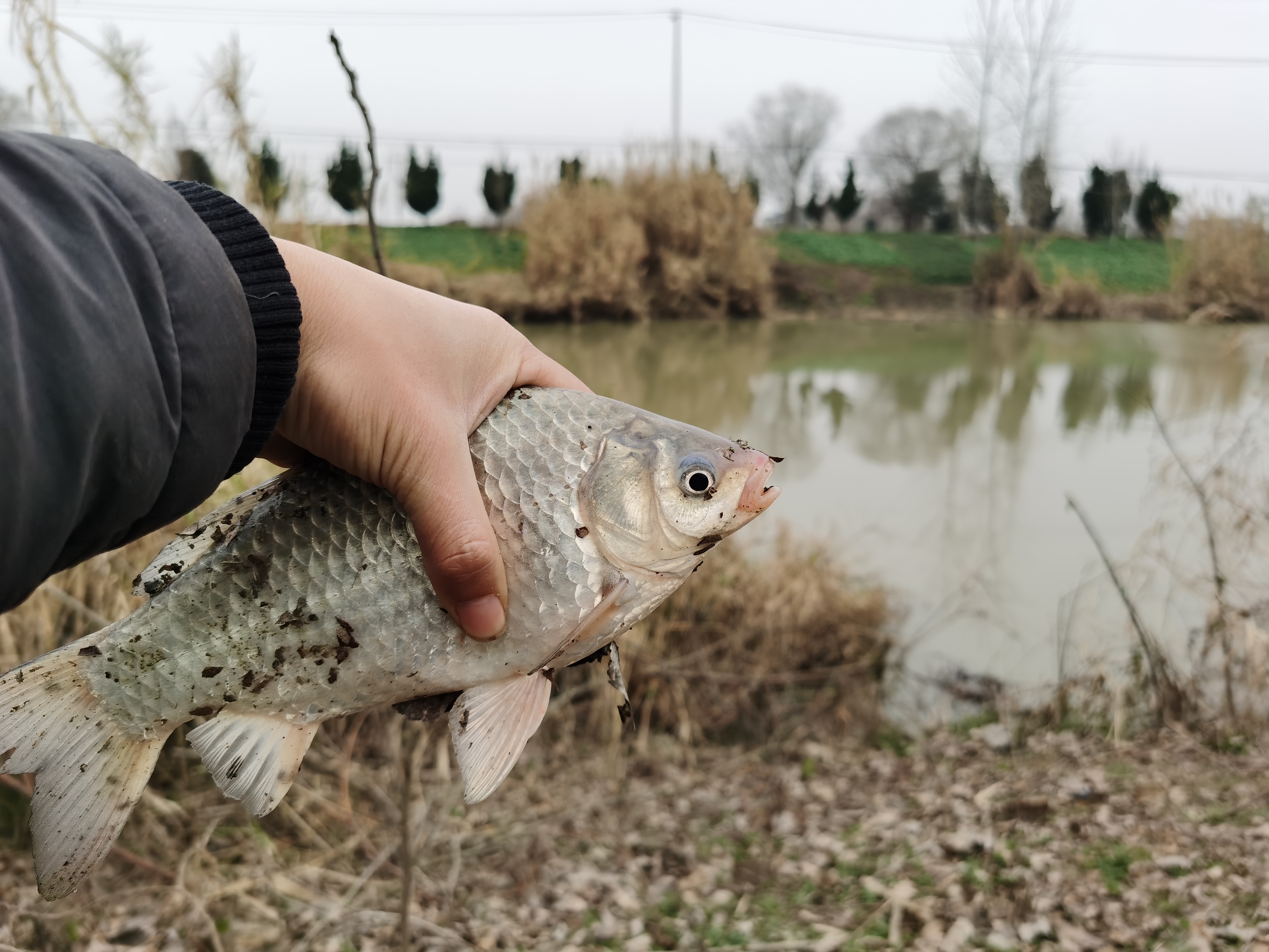 夏季蚯蚓的5种挂法,鱼蚯蚓的正确挂法