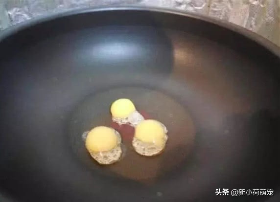 养了多年的乌龟下蛋是好兆头吗,养的乌龟下了蛋自己会孵化吗