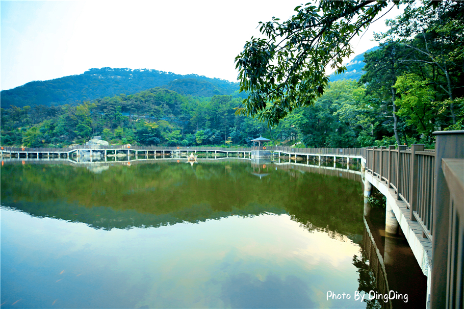 登五岳之首泰山,爬中国五大名山
