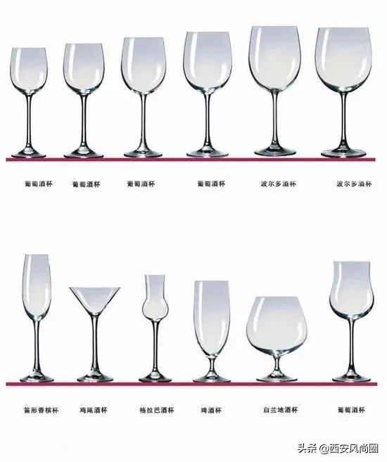 红酒基本知识大全集,红酒文化包括哪些方面的知识