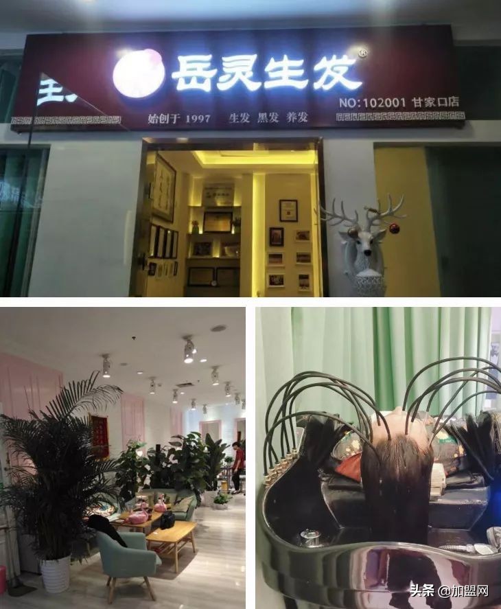 冷门小生意月入5万,冷门暴利年赚千万