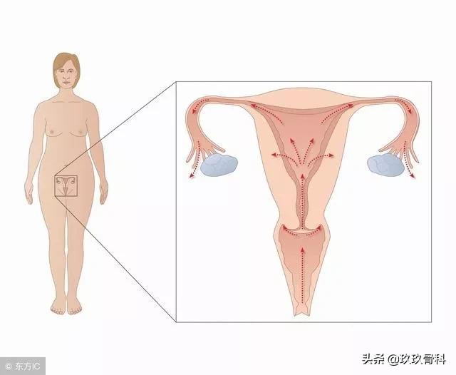 沉迷翘二郎腿的你,骨盆还好吗?